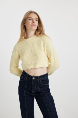 DEFACTO Cool Regular Fit Crew Neck Sweater