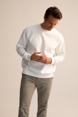 DEFACTO Oversized Fit Sweatshirt