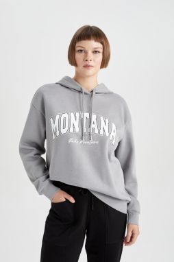 DEFACTO Relax Fit Hooded Thick Sweatshirt