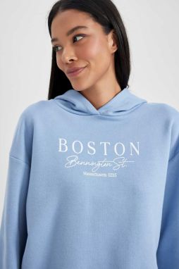 DEFACTO Relax Fit Hooded Thick Sweatshirt