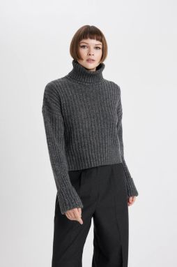 DEFACTO Crop Turtleneck Rib Sweater