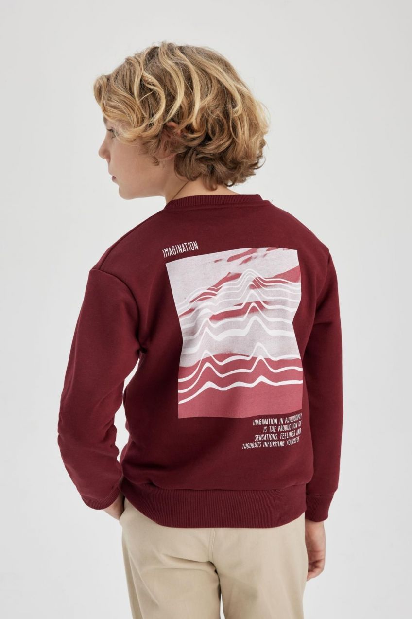 DEFACTO Boy's Back Printed Crew Neck Thick Sweatshirt