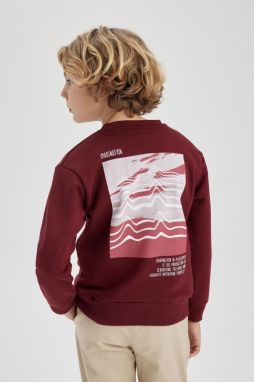 DEFACTO Boy's Back Printed Crew Neck Thick Sweatshirt