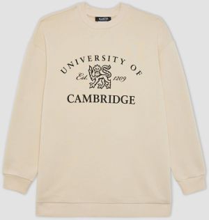 DEFACTO Regular Fit Crew Neck Printed Soft Furry Inside Sweatshirt Tunic