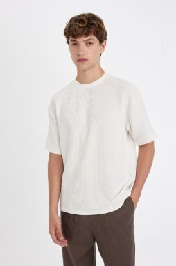 DEFACTO Boxy Fit Crew Neck Short Sleeve T-Shirt