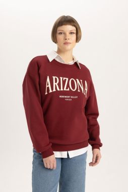 DEFACTO Relax Fit Crew Neck Printed Thick Sweatshirt