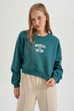 DEFACTO Cool Oversize Fit Crew Neck Thick Sweatshirt