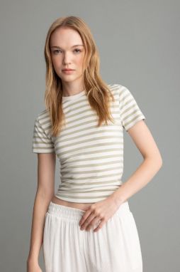 DEFACTO Fitted Crew Neck Striped Short Sleeve T-Shirt