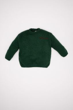 DEFACTO Baby Boy Printed Sweater