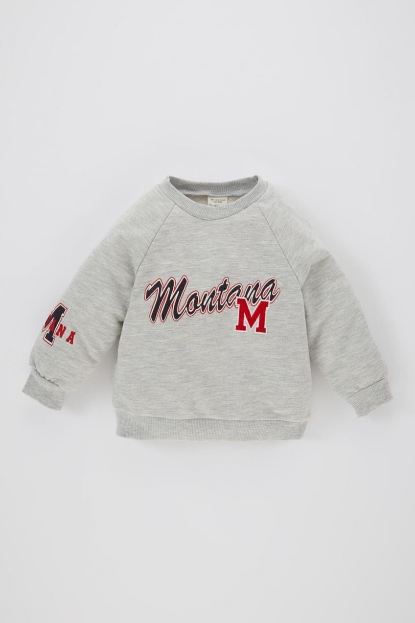 DEFACTO Baby Boy Crew Neck Printed Soft Furry Inside Sweatshirt