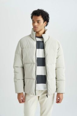 DEFACTO Slim Fit Lined Puffer Jacket