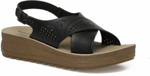 Polaris 164439.Z3FX BLACK Woman 480