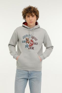 Lumberjack ML JURASSIC 17PK-253 3PR GRAY Man 449