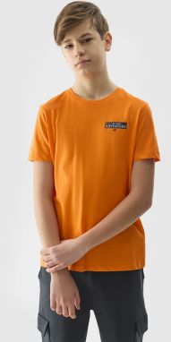 Boys' 4F Printed Organic Cotton T-Shirt - Orange