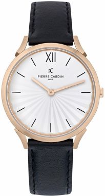 Pierre Cardin Watch