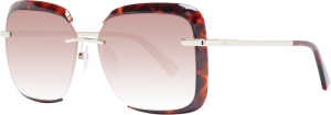 Web Sunglasses
