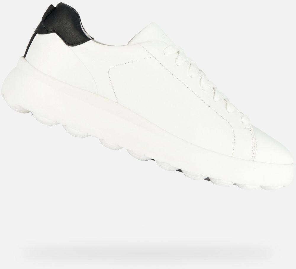 GEOX White men's sneakers Spherica ec4.1 - Men's