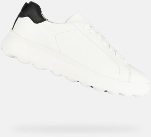 GEOX White men's sneakers Spherica ec4.1 - Men's