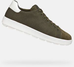 GEOX Khaki men's sneakers Spherica Ecub-1 - Men's