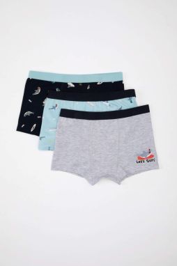 DEFACTO Size 3-Pack Boxer