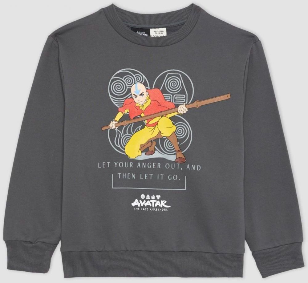 DEFACTO Boy Avatar The Last Airbender Hooded Sweatshirt