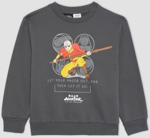 DEFACTO Boy Avatar The Last Airbender Hooded Sweatshirt