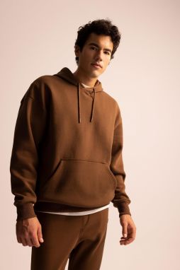 DEFACTO Oversize Fit Thick Hooded Sweatshirt