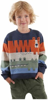 Denokids Animals Boy's Sweater