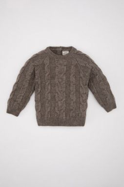 DEFACTO Baby Boy Crew Neck Sweater