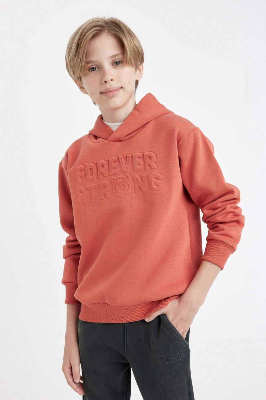 DEFACTO Boy's Hooded Sweatshirt