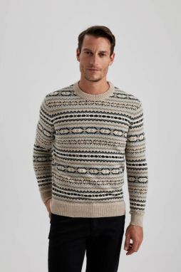 DEFACTO Standard Fit Patterned Crew Neck Sweater