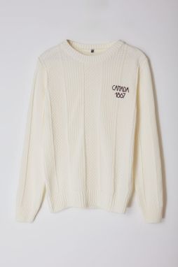 Trendyol Ecru Regular Crew Neck Hair Knitted Knitwear Sweater