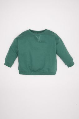 DEFACTO Baby Boy Crew Neck Sweatshirt