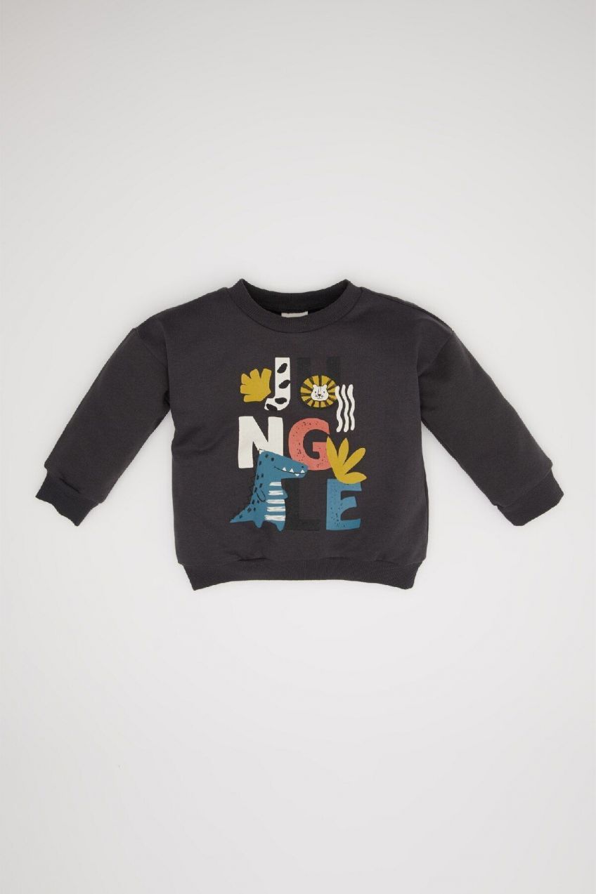 DEFACTO Baby Boy Crew Neck Printed Soft Furry Sweatshirt