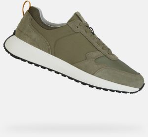 GEOX Light green men's sneakers Volpiano - Men's