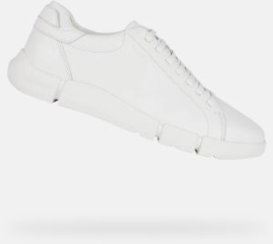 GEOX White men's sneakers Adacter - Men's