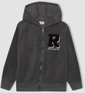 DEFACTO Boy's Hooded Fleece Zippered Sweatshirt
