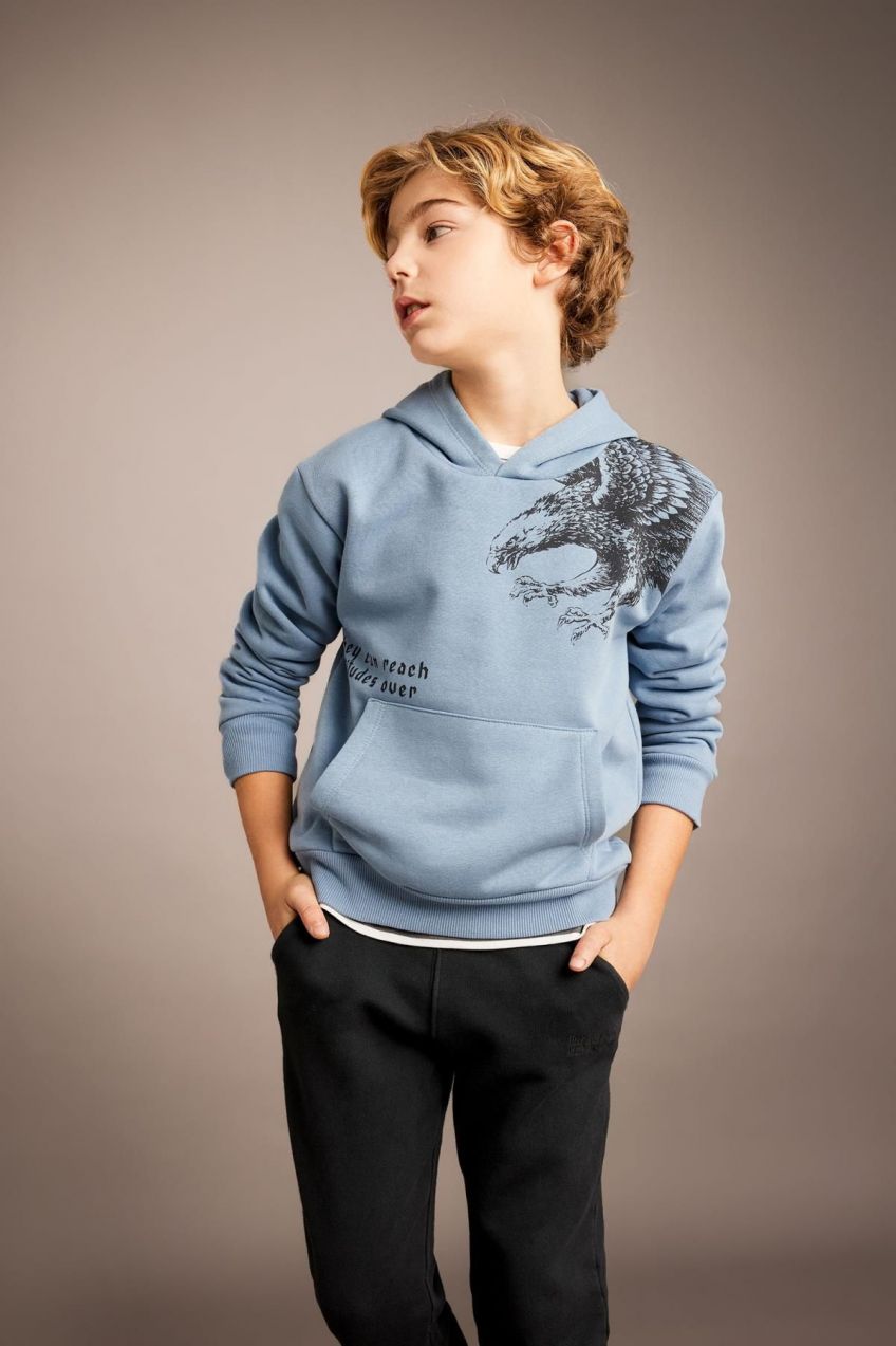 DEFACTO Boy's Printed Hooded Thick Sweatshirt