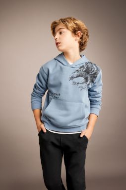 DEFACTO Boy's Printed Hooded Thick Sweatshirt