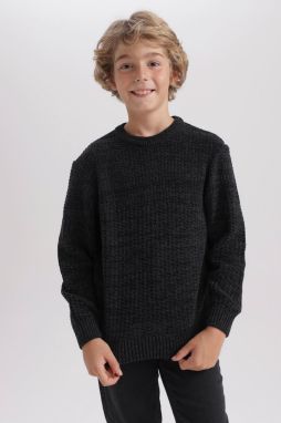 DEFACTO Boy's Crew Neck Sweater