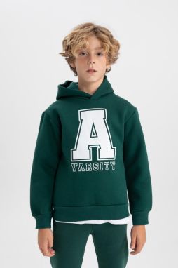 DEFACTO Boy's Printed Hooded Thick Sweatshirt