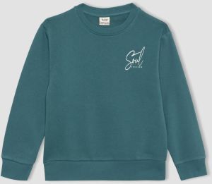 DEFACTO Boy Printed Crew Neck Thick Sweatshirt
