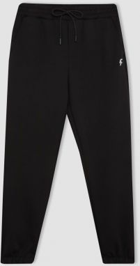 DEFACTO Fit Standard Fit Jogger Sweatpants