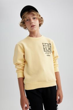 DEFACTO Boy's Crew Neck Printed Thick Sweatshirt