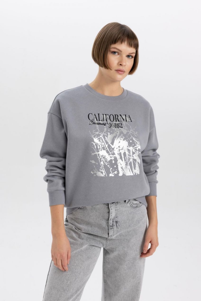 DEFACTO Relax Fit Crew Neck Thick Sweatshirt