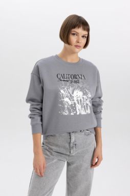 DEFACTO Relax Fit Crew Neck Thick Sweatshirt