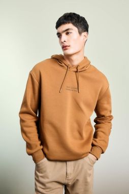 DEFACTO Relax Fit Hooded Printed Thick Sweatshirt