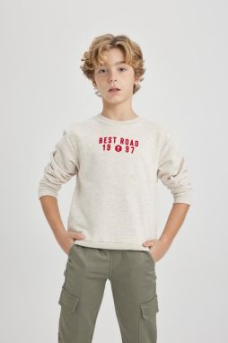 DEFACTO Boy's Crew Neck Printed Thick Sweatshirt