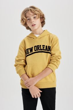DEFACTO Boy Printed Hooded Thick Sweatshirt