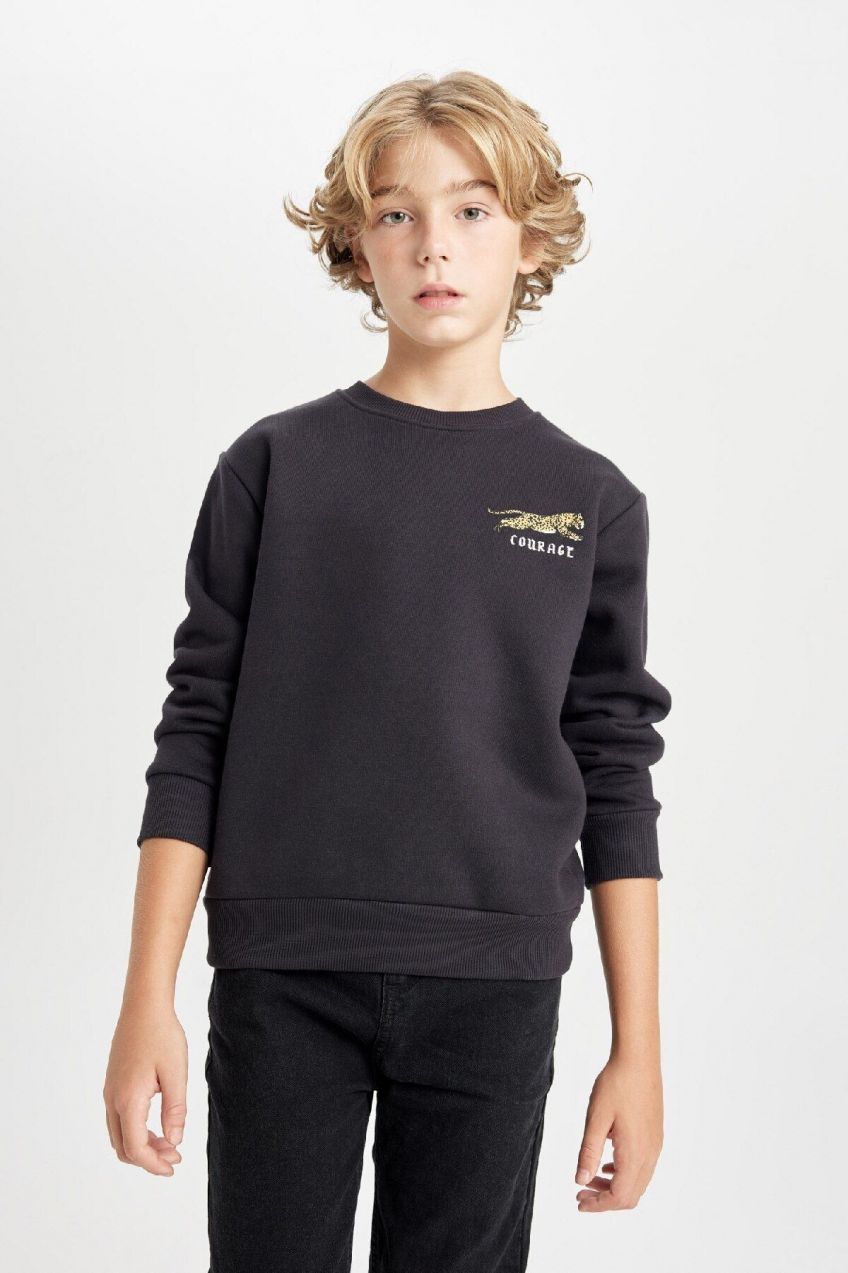 DEFACTO Boy's Crew Neck Printed Thick Sweatshirt